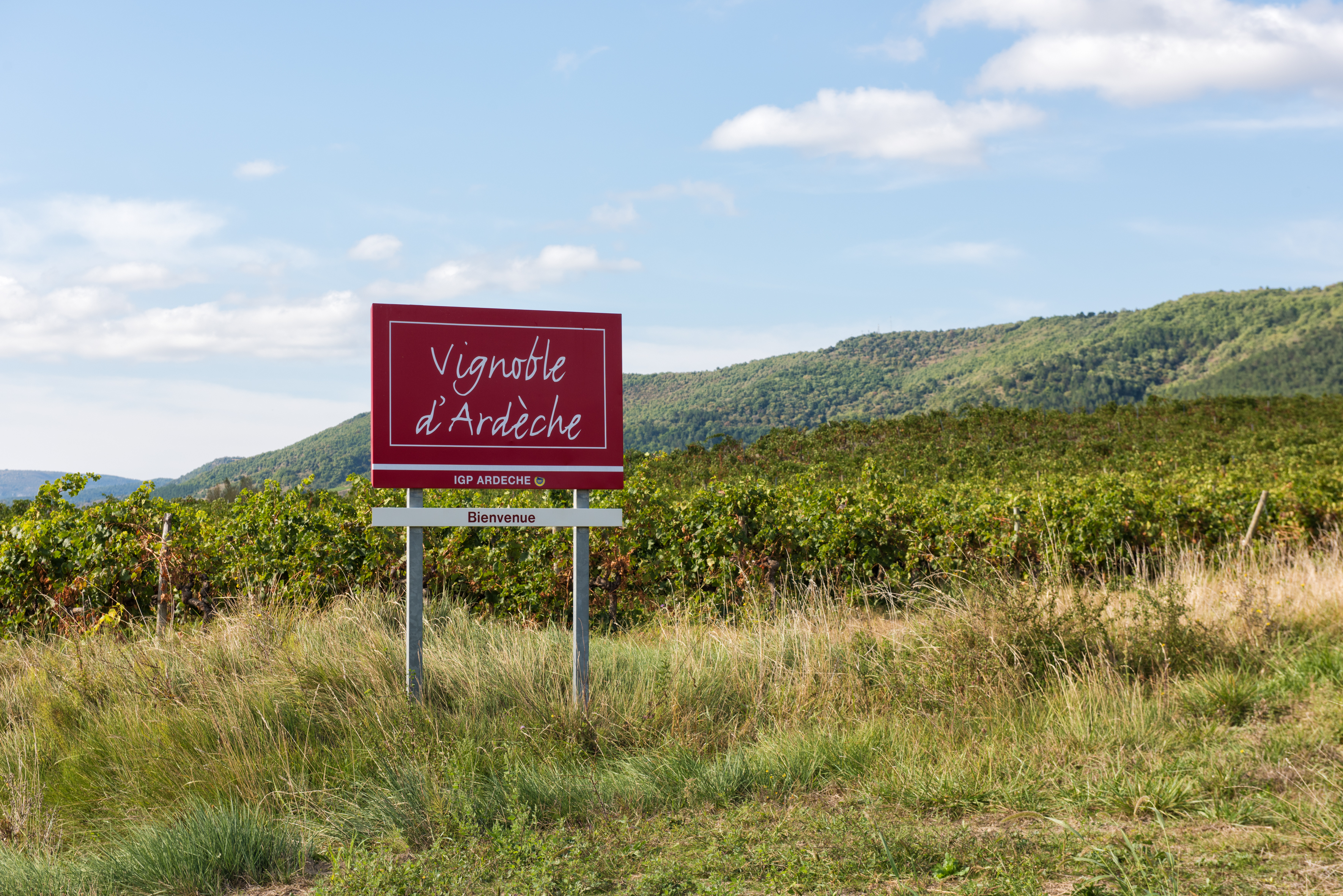 Ardèche : avancée rapide des maturités