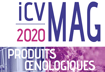 L'édition 2020 de l'ICV Mag est arrivée !