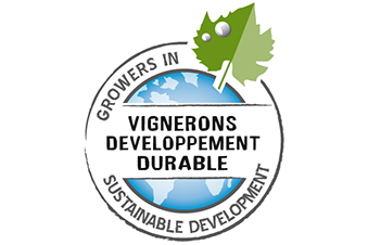 Les Vignerons en Développement Durable en Bourgogne