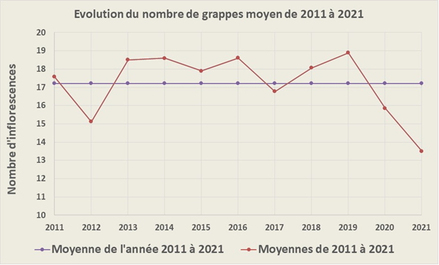 Graphique Evolution du nombre de grappes moyen de 2011 à 2021