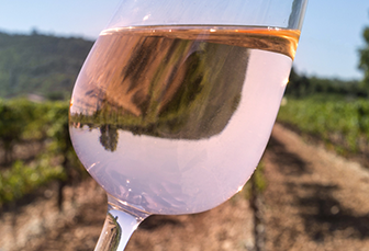 Participez aux 4 webinars ICV Aude sur l'élaboration des vins rosés