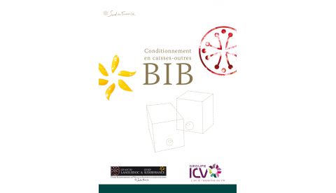 Plaquette BIB ICV