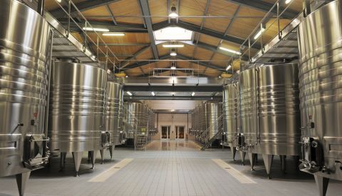 Bioprotection et gestion des fermentations alcooliques en bio