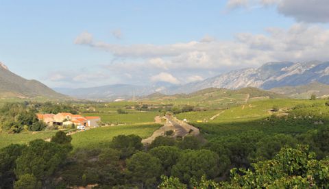 Pyrénées Roussillon : une climatologie favorable à la maturation du raisin