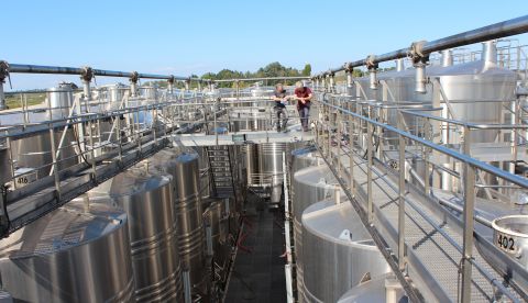 Arrêts de fermentation : les bonnes pratiques